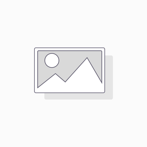 Physical Ticket BLIS 2024 - Executive (466.20 VAT inc. where applicable)